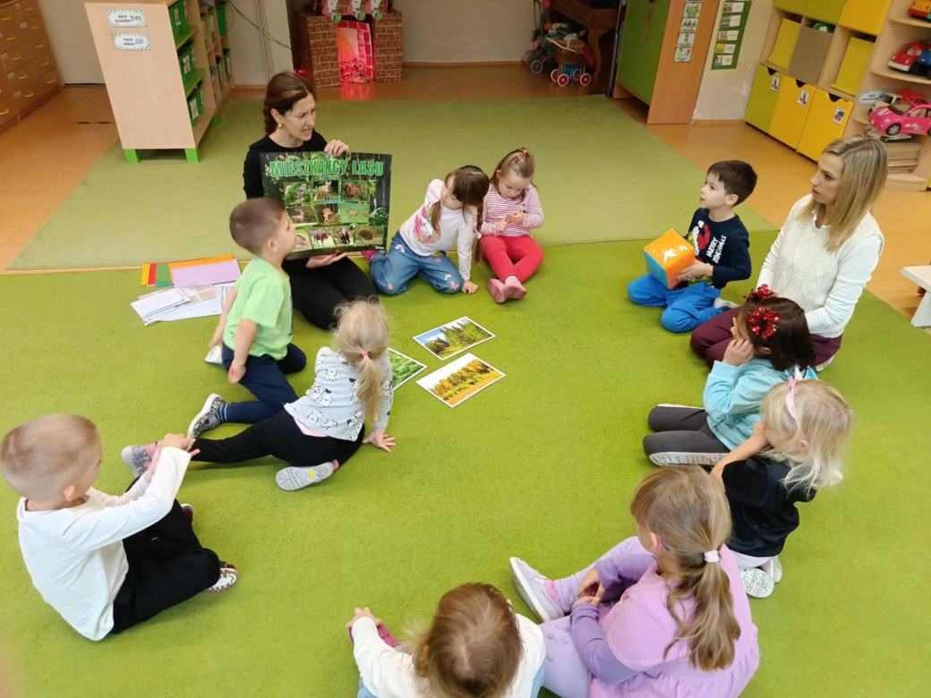 Sówki: Grudzień 2025 - Zdjęcie 161