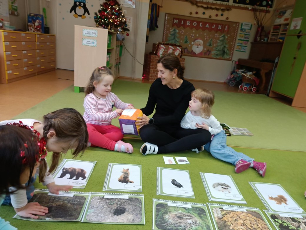 Sówki: Grudzień 2025 - Zdjęcie 162