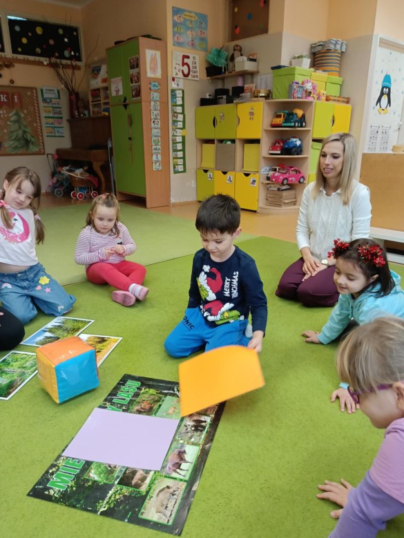 Sówki: Grudzień 2025 - Zdjęcie 163