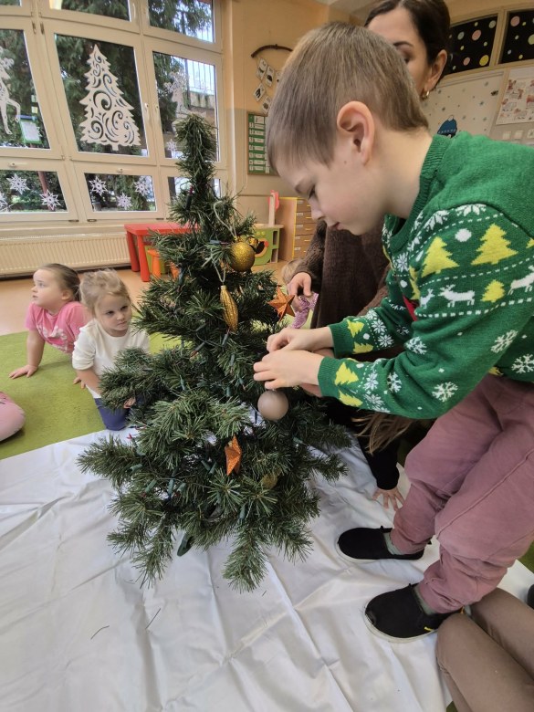 Sówki: Grudzień 2025 - Zdjęcie 164