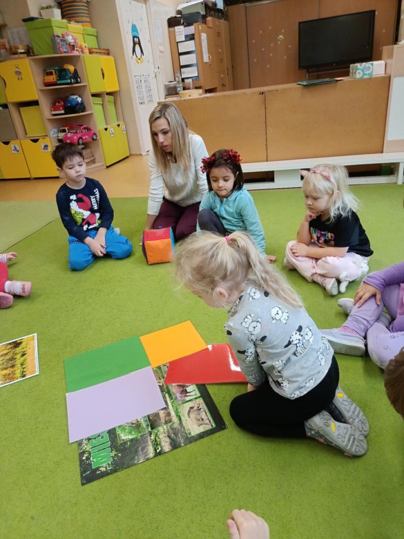 Sówki: Grudzień 2025 - Zdjęcie 166