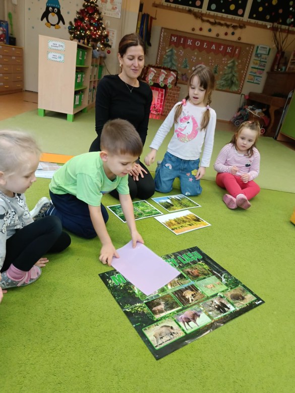 Sówki: Grudzień 2025 - Zdjęcie 171