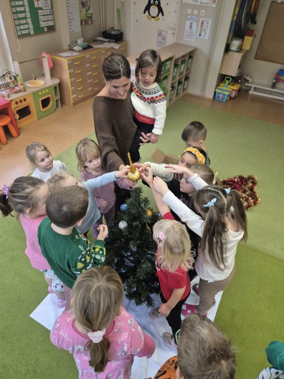 Sówki: Grudzień 2025 - Zdjęcie 174