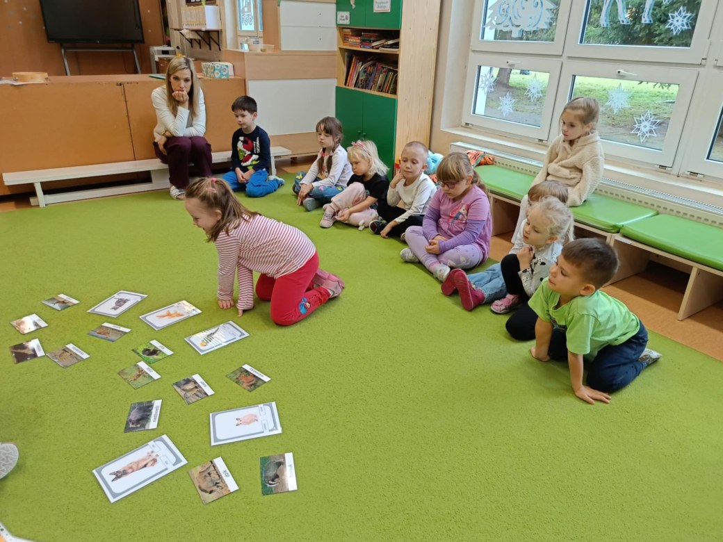 Sówki: Grudzień 2025 - Zdjęcie 176