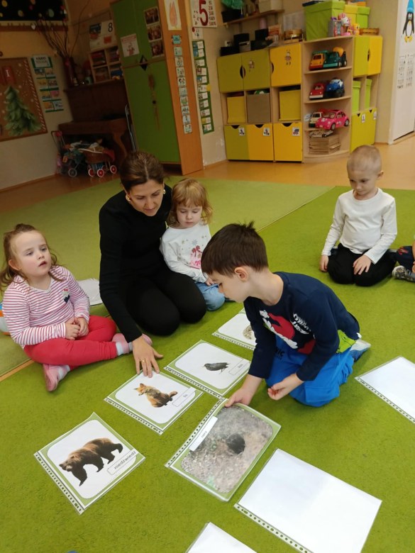 Sówki: Grudzień 2025 - Zdjęcie 188