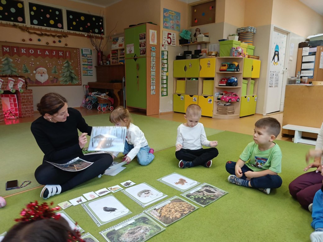 Sówki: Grudzień 2025 - Zdjęcie 189