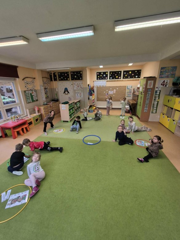 Sówki: Grudzień 2025 - Zdjęcie 191