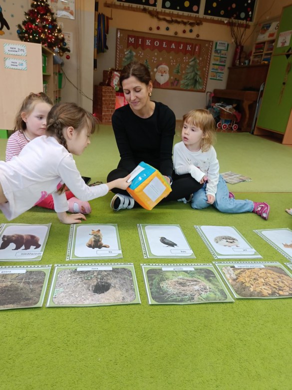 Sówki: Grudzień 2025 - Zdjęcie 197