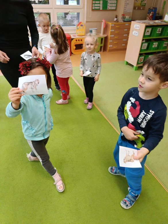 Sówki: Grudzień 2025 - Zdjęcie 199