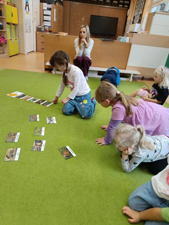 Sówki: Grudzień 2025 - Zdjęcie 204