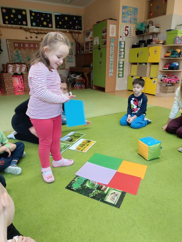 Sówki: Grudzień 2025 - Zdjęcie 207