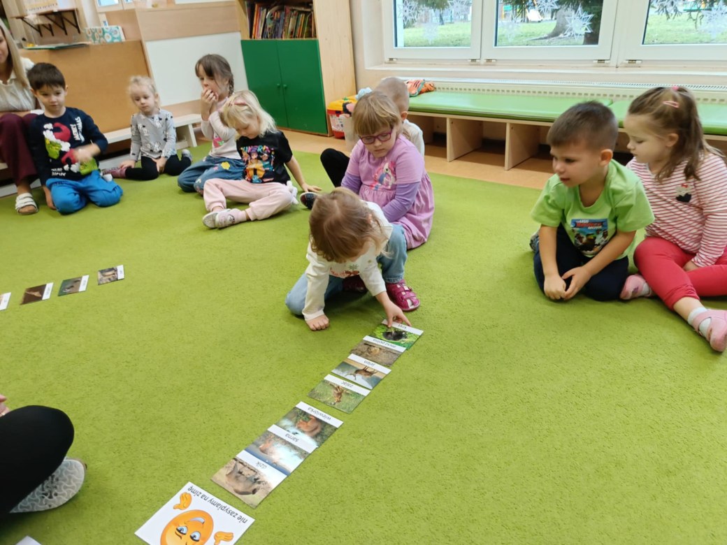 Sówki: Grudzień 2025 - Zdjęcie 213