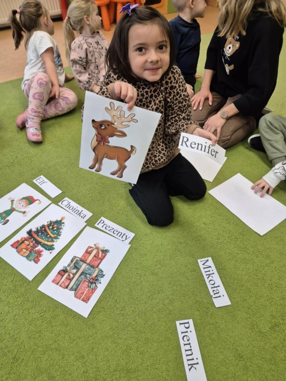 Sówki: Grudzień 2025 - Zdjęcie 221