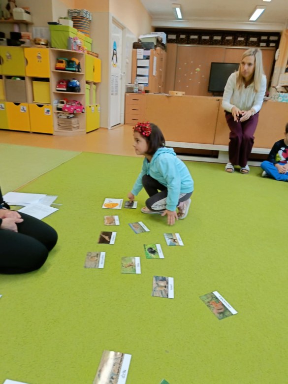 Sówki: Grudzień 2025 - Zdjęcie 223