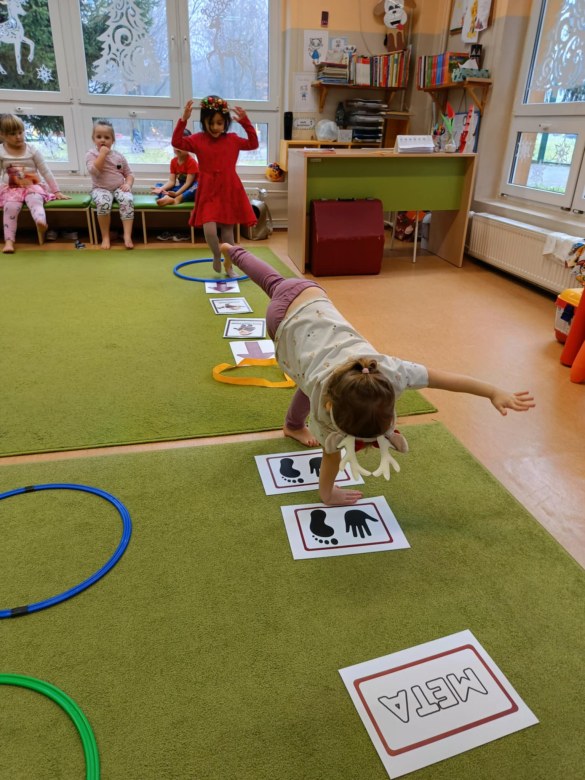 Sówki: Grudzień 2025 - Zdjęcie 225