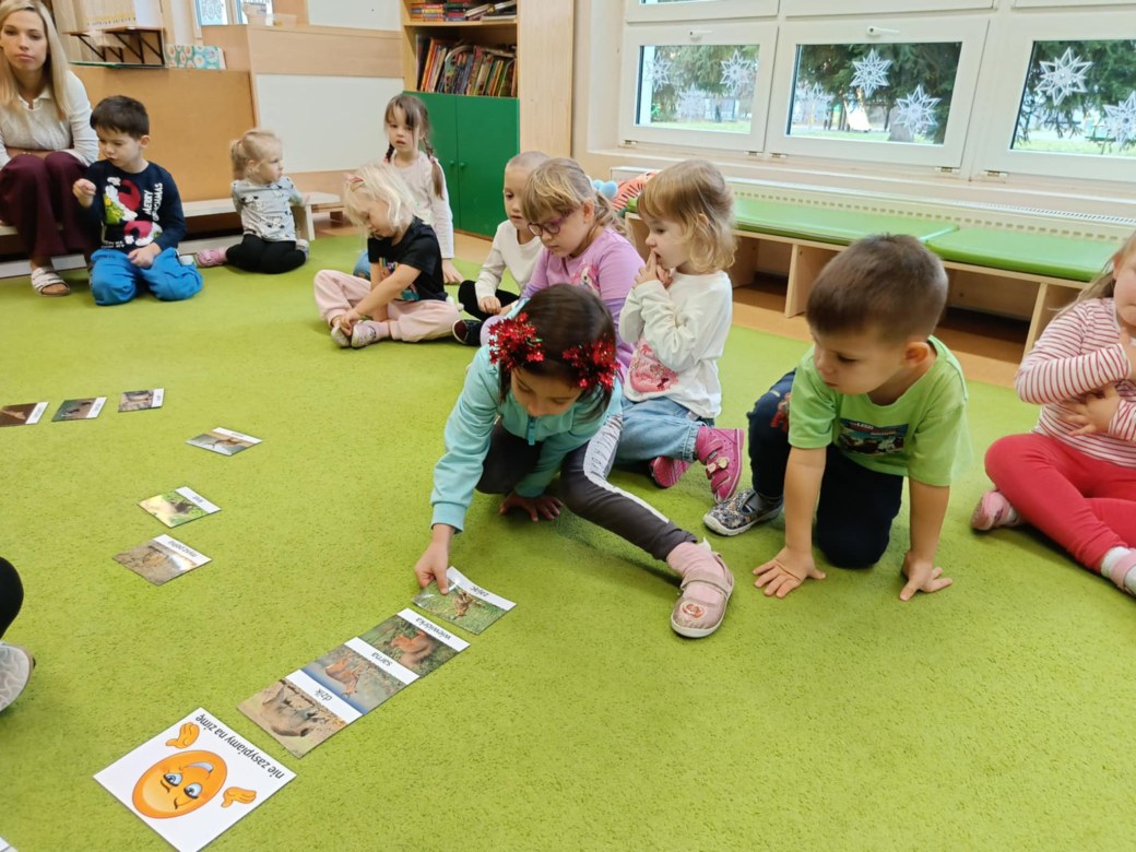 Sówki: Grudzień 2025 - Zdjęcie 227