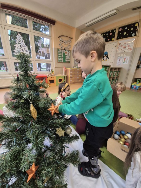 Sówki: Grudzień 2025 - Zdjęcie 233