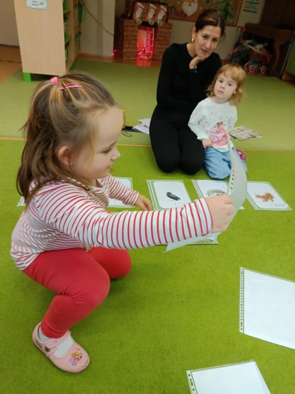 Sówki: Grudzień 2025 - Zdjęcie 234