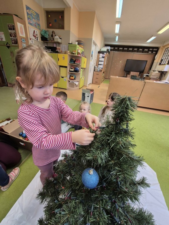 Sówki: Grudzień 2025 - Zdjęcie 235