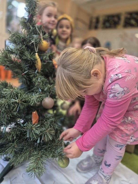 Sówki: Grudzień 2025 - Zdjęcie 242