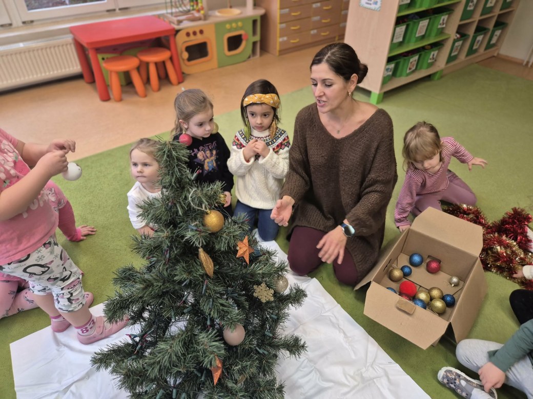 Sówki: Grudzień 2025 - Zdjęcie 248