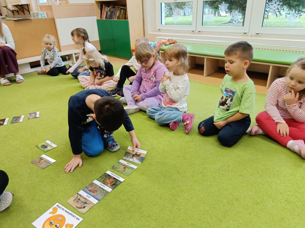 Sówki: Grudzień 2025 - Zdjęcie 250