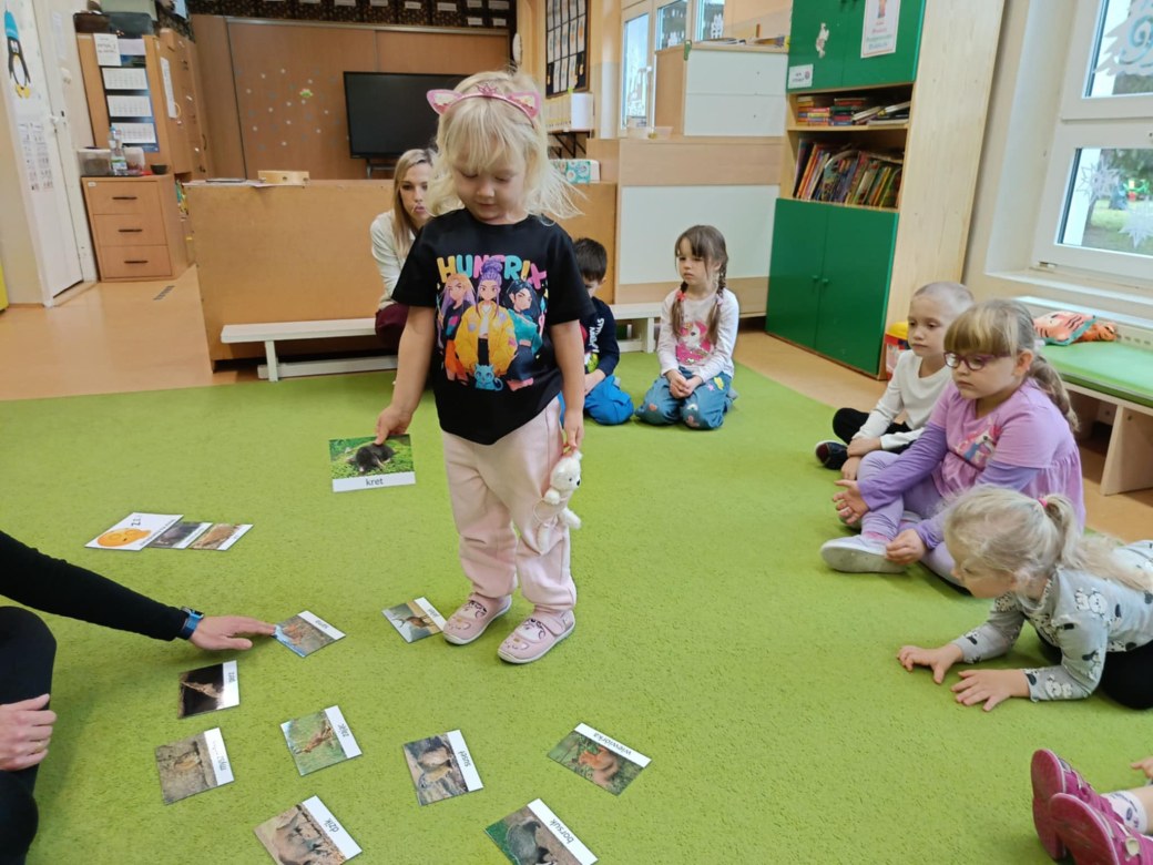 Sówki: Grudzień 2025 - Zdjęcie 252