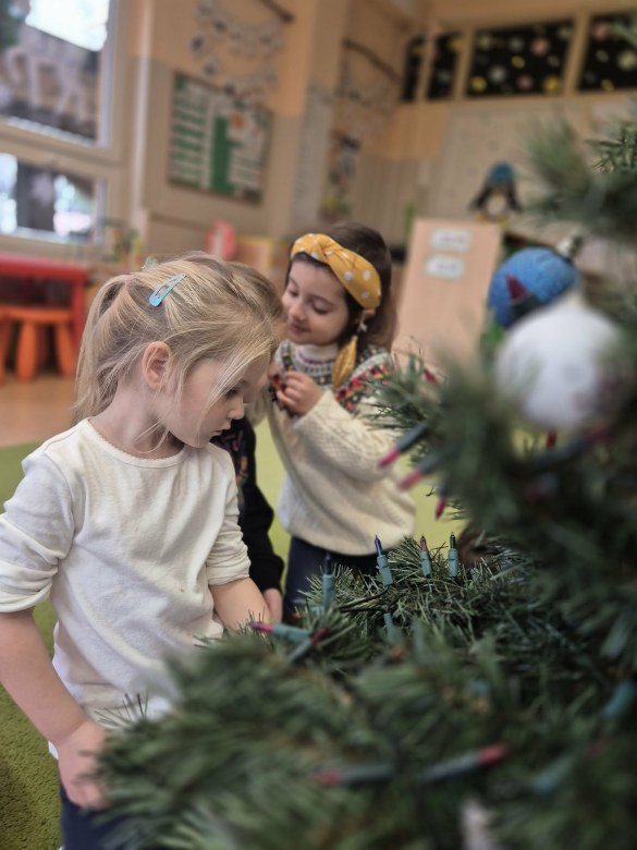 Sówki: Grudzień 2025 - Zdjęcie 259