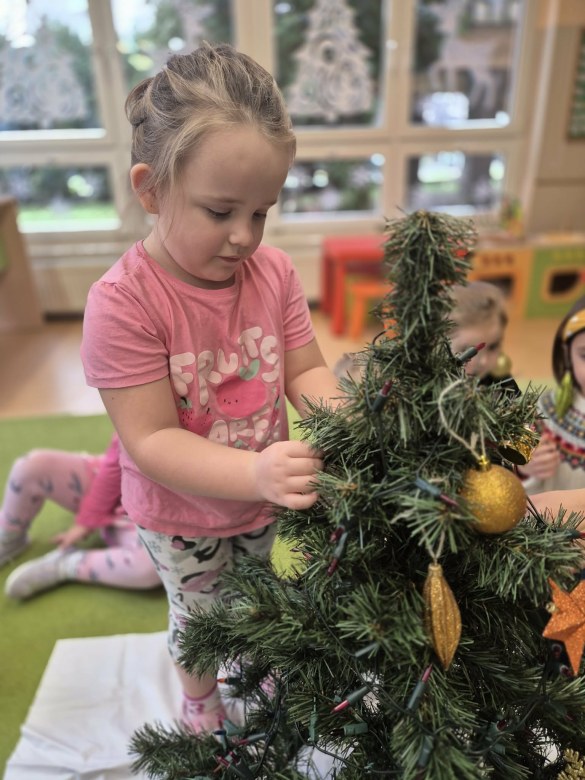 Sówki: Grudzień 2025 - Zdjęcie 262