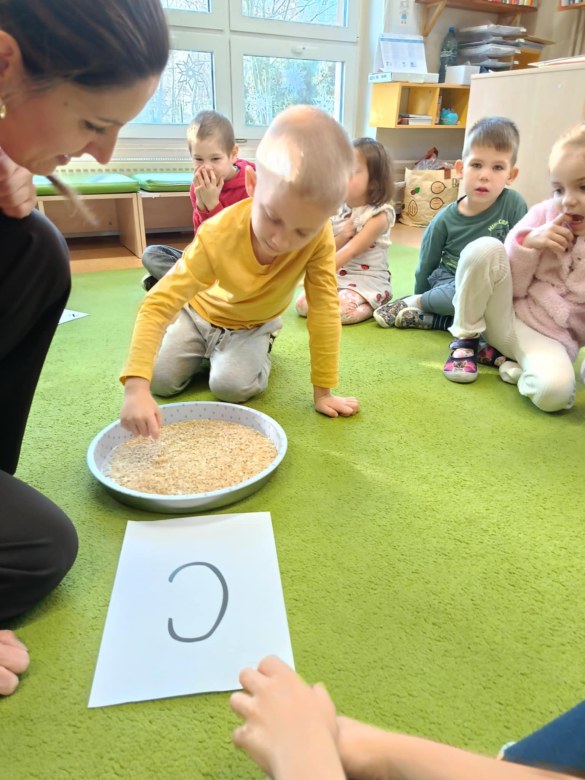 Sówki: Grudzień 2025 - Zdjęcie 19