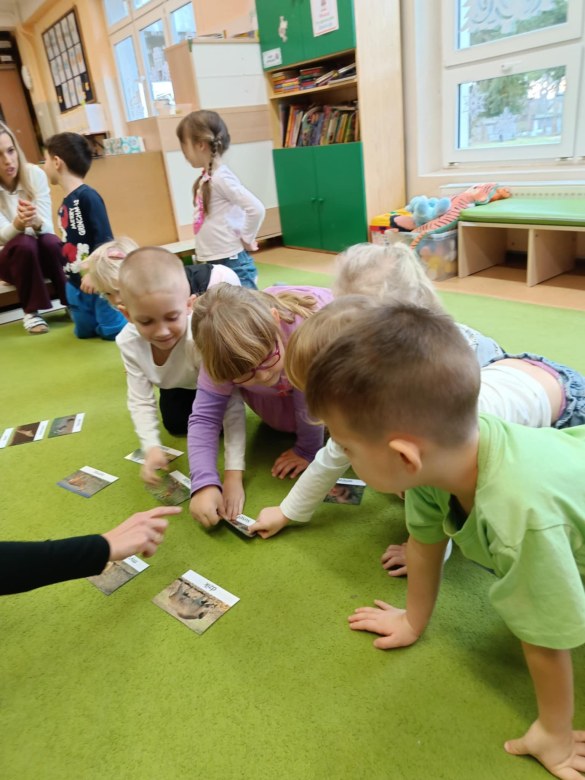 Sówki: Grudzień 2025 - Zdjęcie 27