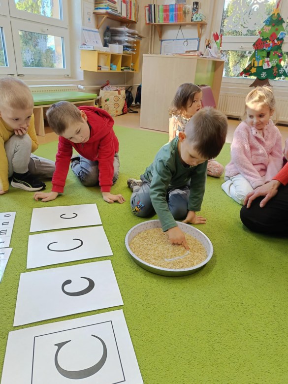 Sówki: Grudzień 2025 - Zdjęcie 47