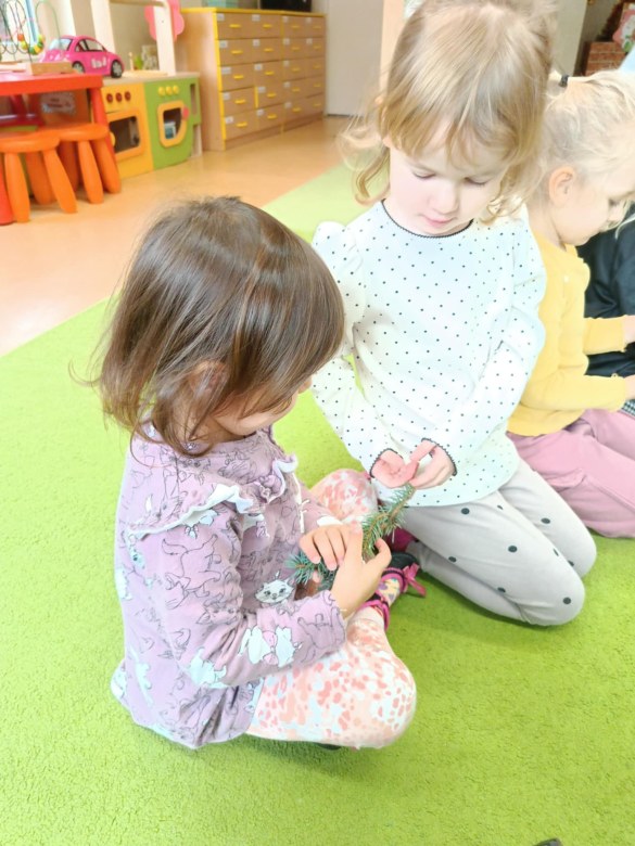 Sówki: Grudzień 2025 - Zdjęcie 53