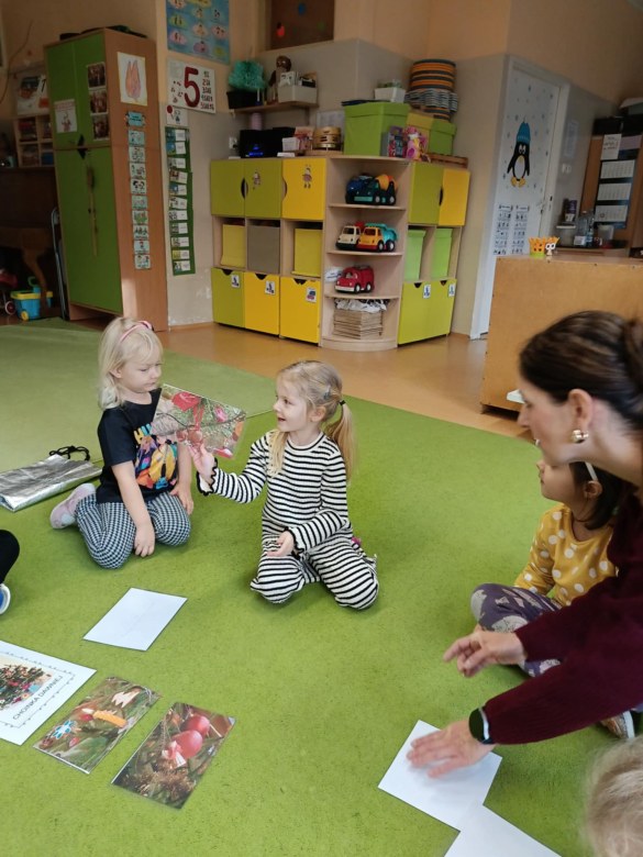 Sówki: Grudzień 2025 - Zdjęcie 54