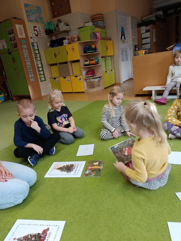 Sówki: Grudzień 2025 - Zdjęcie 56