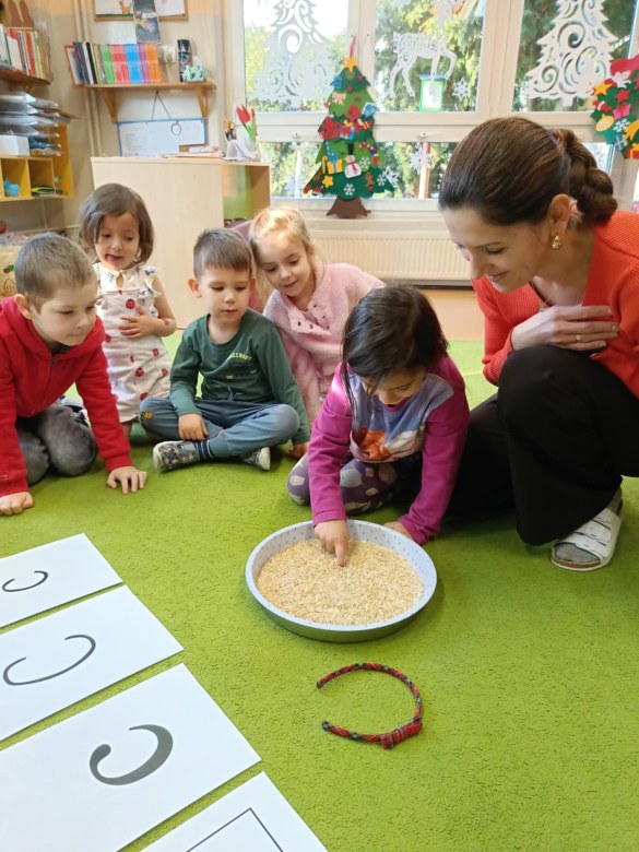 Sówki: Grudzień 2025 - Zdjęcie 73