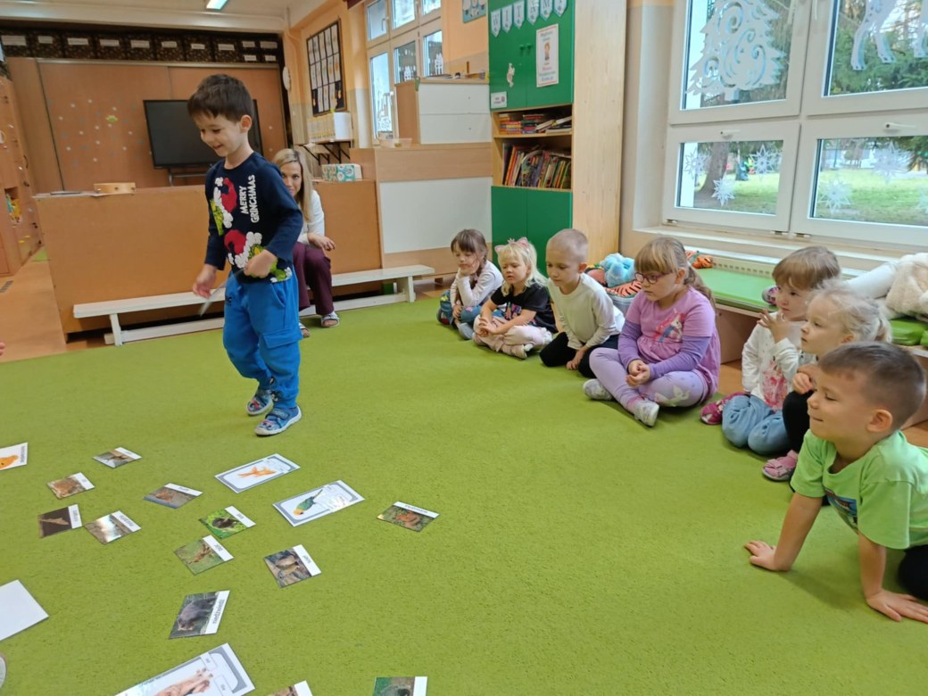 Sówki: Grudzień 2025 - Zdjęcie 78