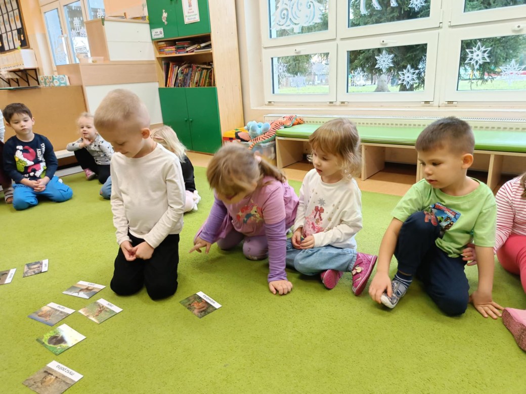 Sówki: Grudzień 2025 - Zdjęcie 21