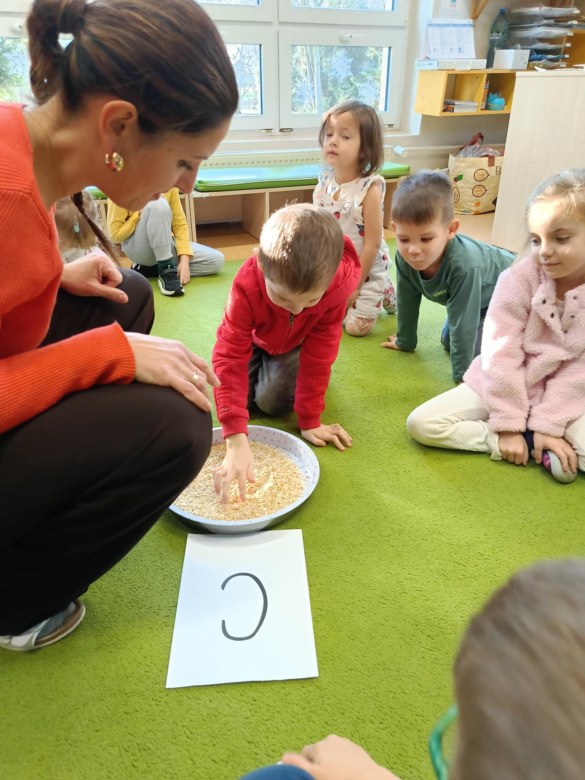 Sówki: Grudzień 2025 - Zdjęcie 28