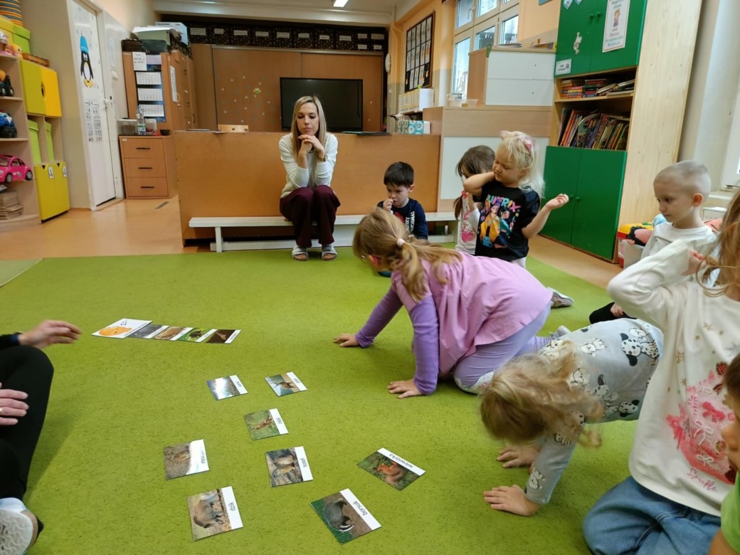 Sówki: Grudzień 2025 - Zdjęcie 43