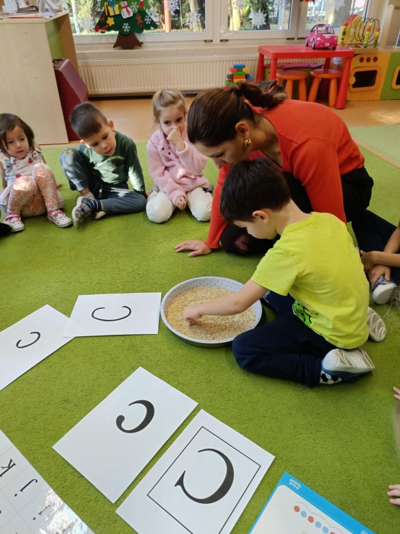 Sówki: Grudzień 2025 - Zdjęcie 49