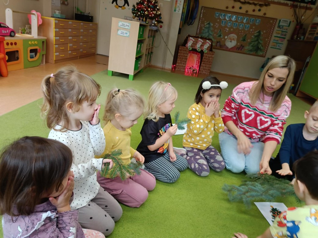 Sówki: Grudzień 2025 - Zdjęcie 68