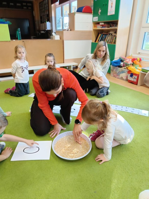 Sówki: Grudzień 2025 - Zdjęcie 80