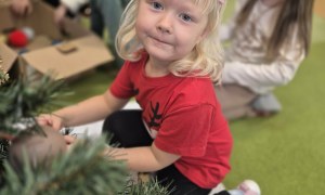 Sówki: Grudzień 2025 - Zdjęcie 89