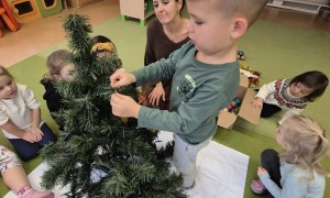 Sówki: Grudzień 2025 - Zdjęcie 90