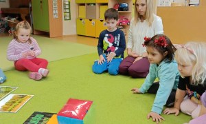 Sówki: Grudzień 2025 - Zdjęcie 96