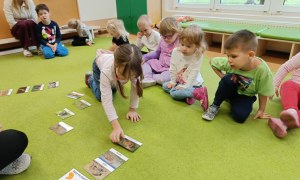 Sówki: Grudzień 2025 - Zdjęcie 98