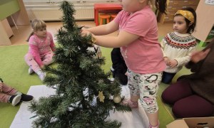 Sówki: Grudzień 2025 - Zdjęcie 105