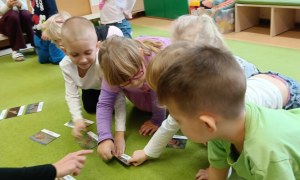 Sówki: Grudzień 2025 - Zdjęcie 113