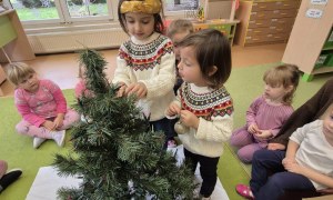 Sówki: Grudzień 2025 - Zdjęcie 114